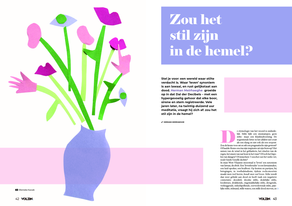 Volzin Magazine - oktober 2026 - Afbeelding 9
