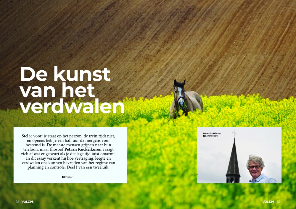 Volzin Magazine - oktober 2026 - Afbeelding 11