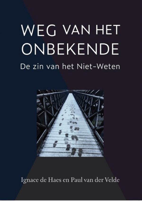 Workshop 27 september - 'De zin van het Niet-Weten' met Ignace de Haes - Afbeelding 2