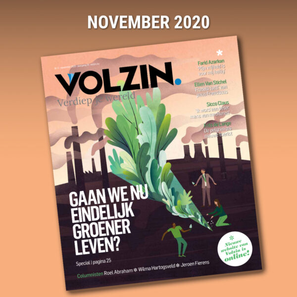 VOLZIN- november 2020 (PDF)